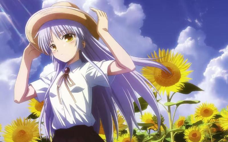 Featured image of post SSS战线的大家